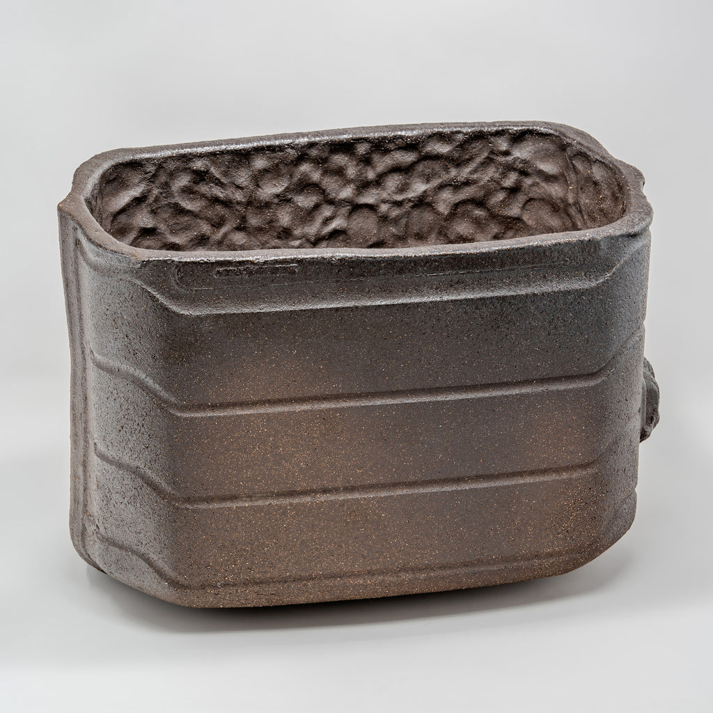 Luggage (Spinner) 02.00.02